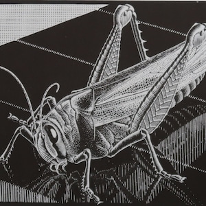 MC Escher Vintage Print 1971 | &quot;Grasshopper&quot; (1935) | Home Decor | Wall Art | Art Print | Wall Decor