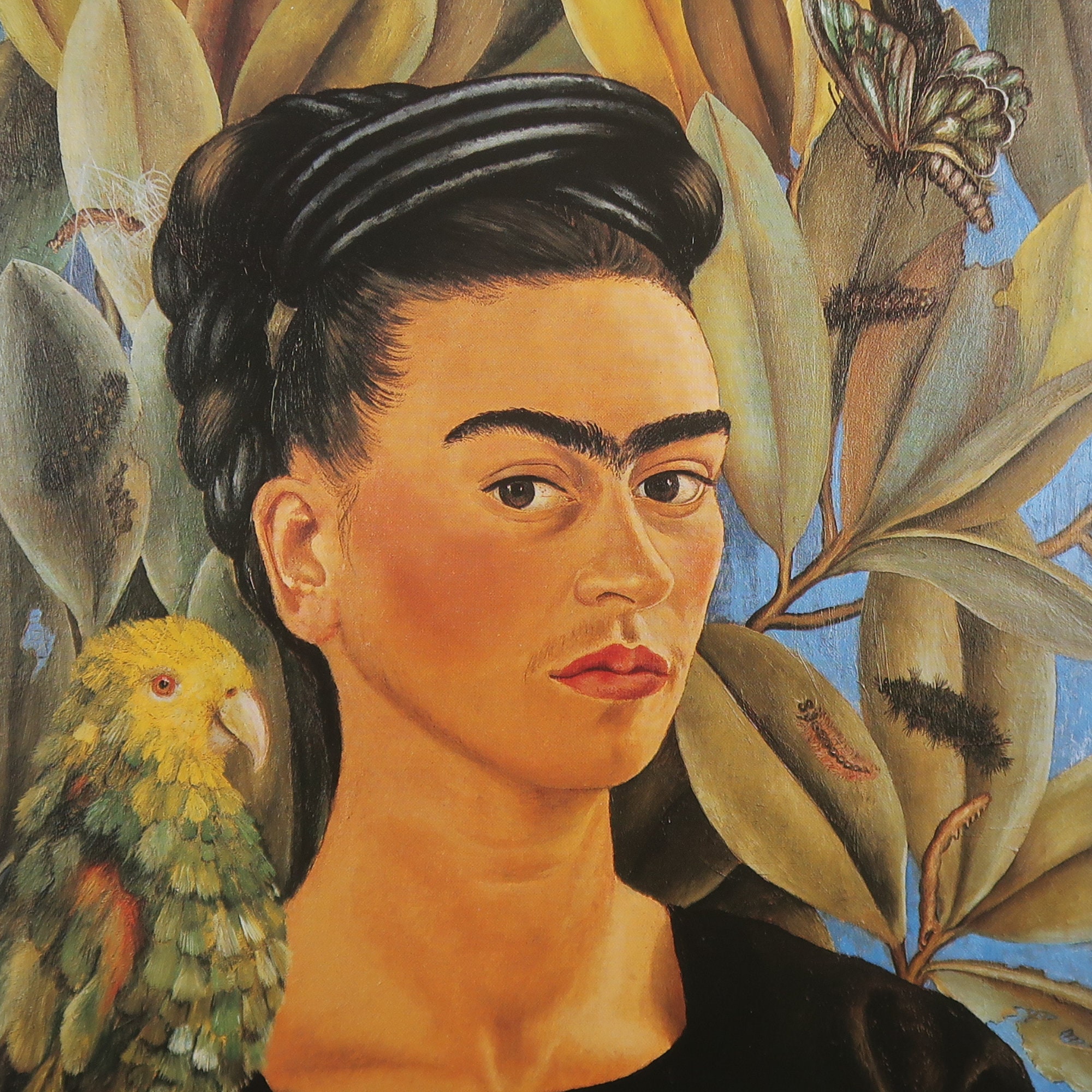 Velludo Self Love Portrait 1988 7