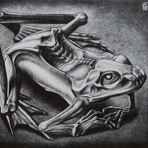 Peut inclure: Un dessin en noir et blanc d'une grenouille dont les pattes et le corps sont contorsionnés dans une position non naturelle. Les yeux de la grenouille sont grands et ronds, et sa bouche est légèrement ouverte.