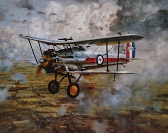 Gerald Coulson Vintage Print 1991 / "Bristol Bulldog" / Decoración del hogar / Arte de la pared / Impresión de aviones vintage / Impresión de arte / Decoración de la pared