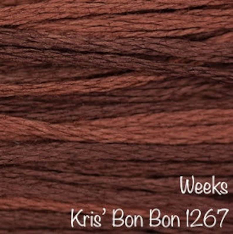 WEEKS DYE WORKS \u201cKris\u2019 Bon Bon 1267\u201d hand over-dyed embroidery floss