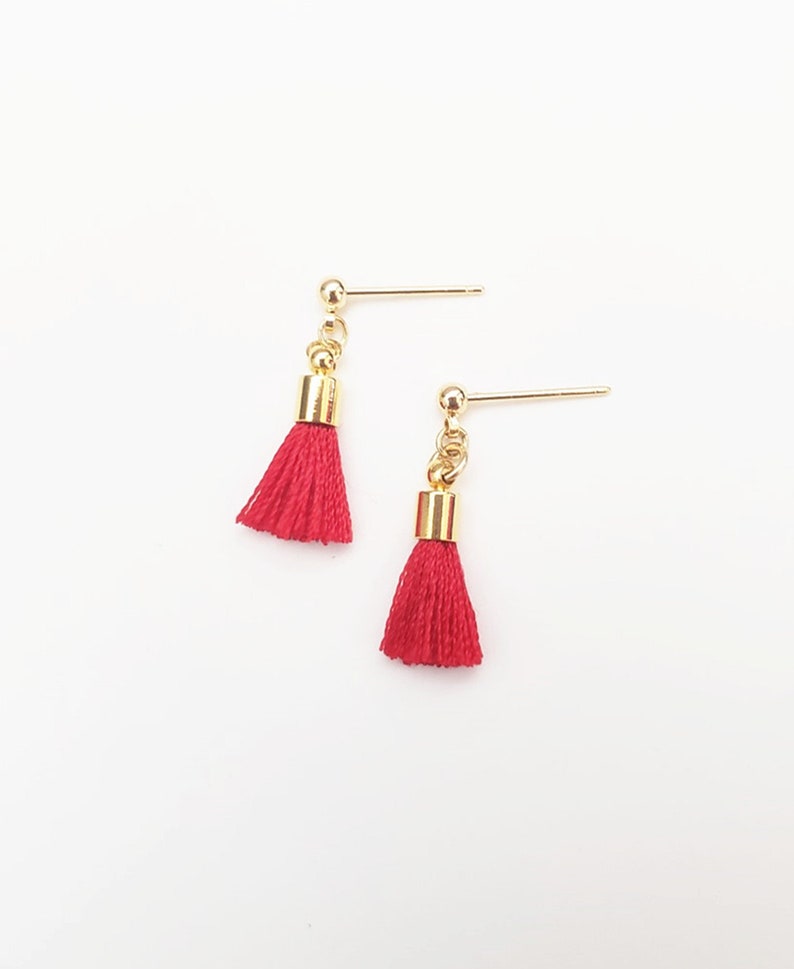 mini tassel earrings
