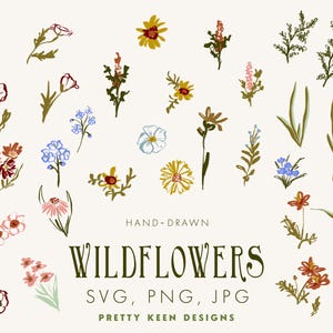 Delicate illustrazioni di fiori selvatici primaverili in formato SVG / Clip art floreale a disegno libero / JPG floreale disegnato a mano