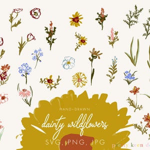 Delicadas ilustraciones de flores silvestres de primavera SVG / Clip art floral con dibujos sueltos / JPG floral dibujado a mano