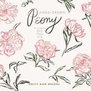 Clipart de Peônias Desenhadas à Mão | Ilustrações de Flores de Peônia Rosa e Verde | Download Digital Floral Solto | PNG, JPG, SVG