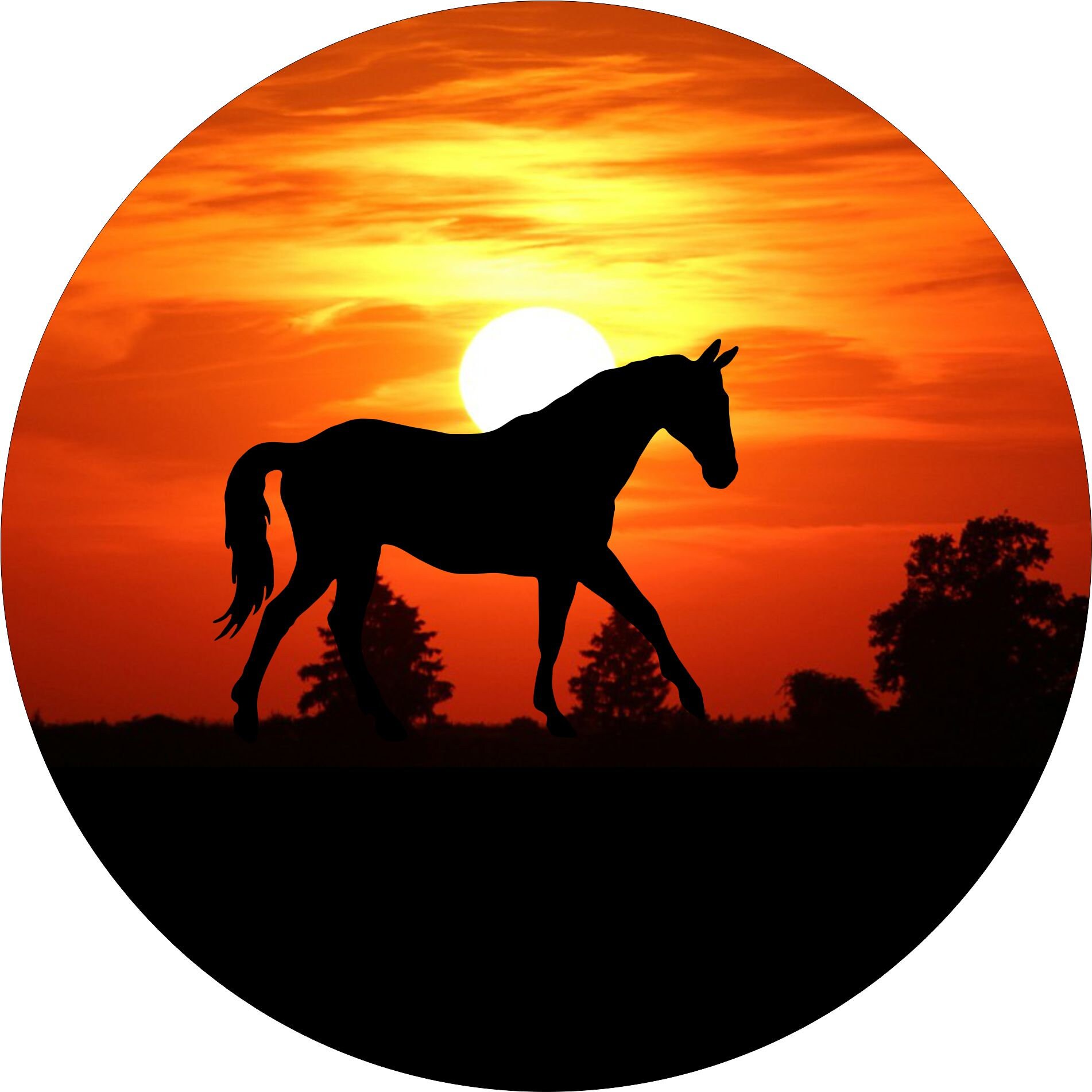 Sonnenuntergang pferd