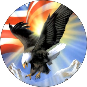 May include: A bald eagle with outstretched wings soars in front of an American flag with a bright, sun-like glow behind it. The eagle is perched on a snowy mountain peak.