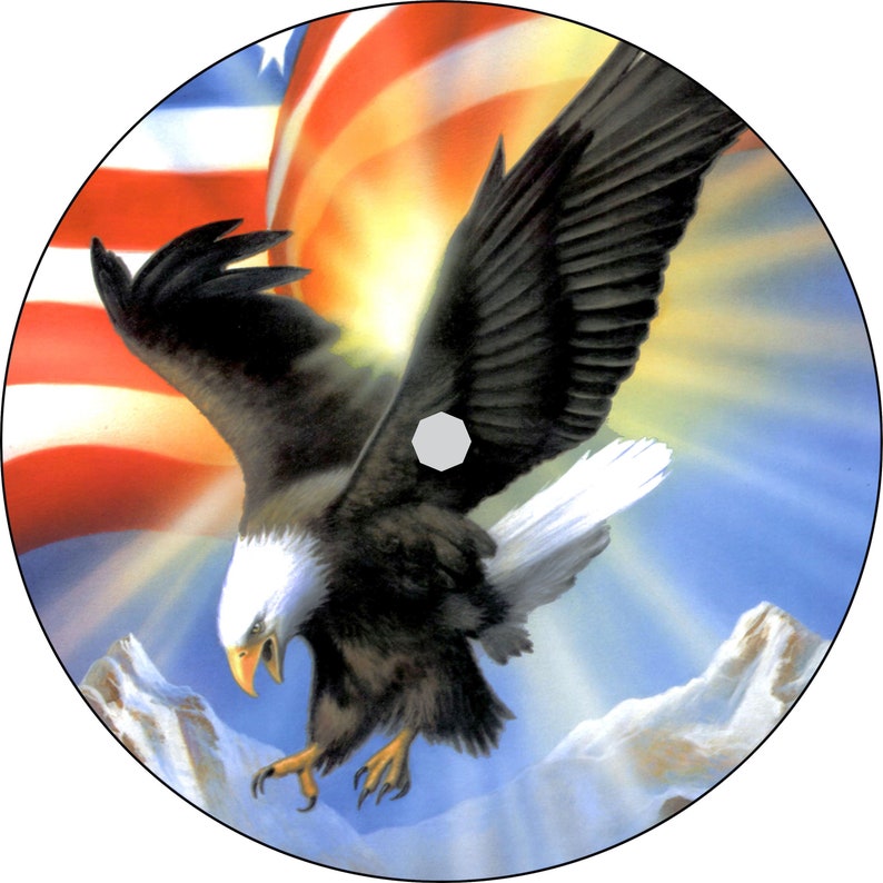 May include: A bald eagle with outstretched wings flies in front of an American flag with a mountain range in the background. The eagle is in focus and the flag and mountains are blurred.