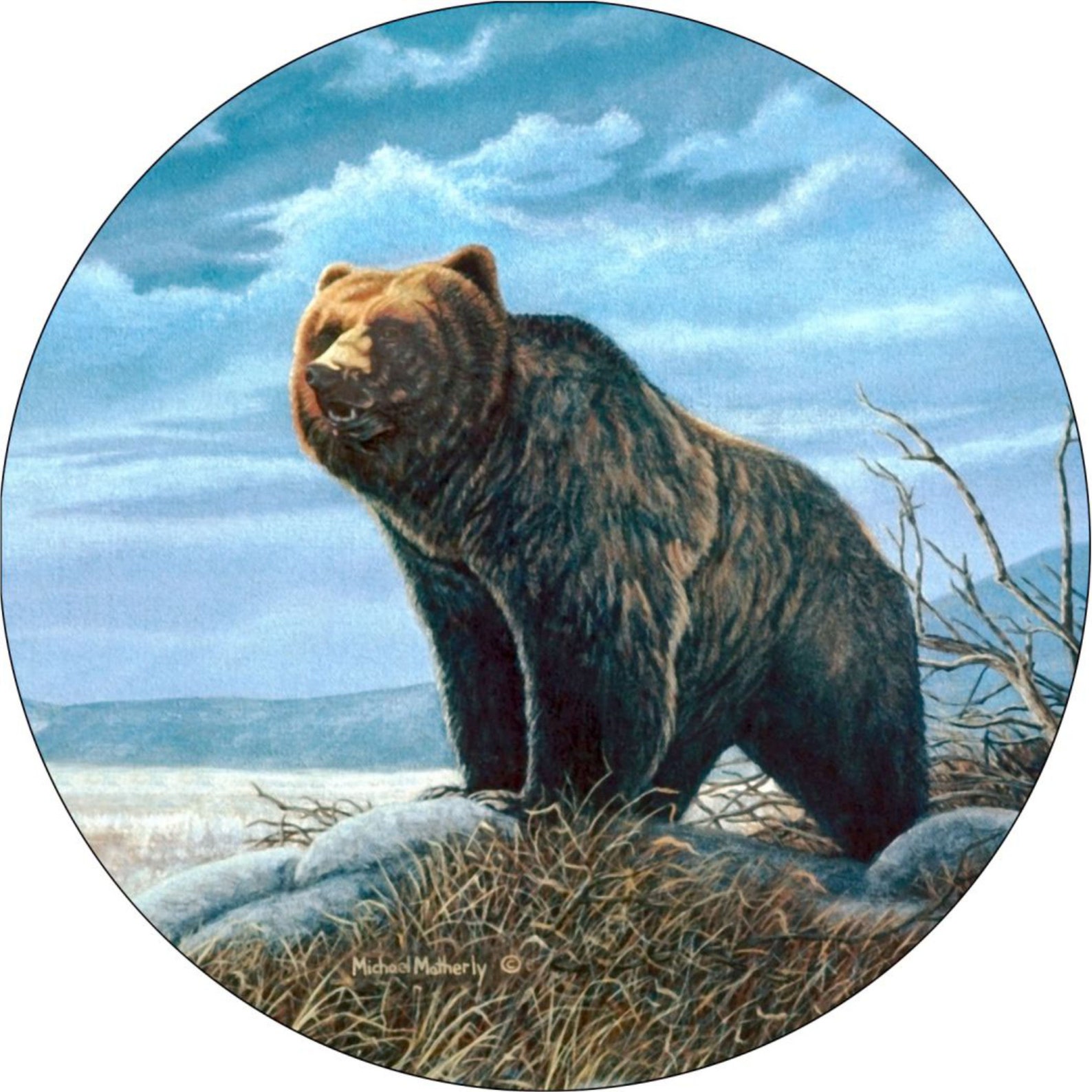 Bear Spare Tire Cover Custom Made to Your Exact Tire Size Etsy