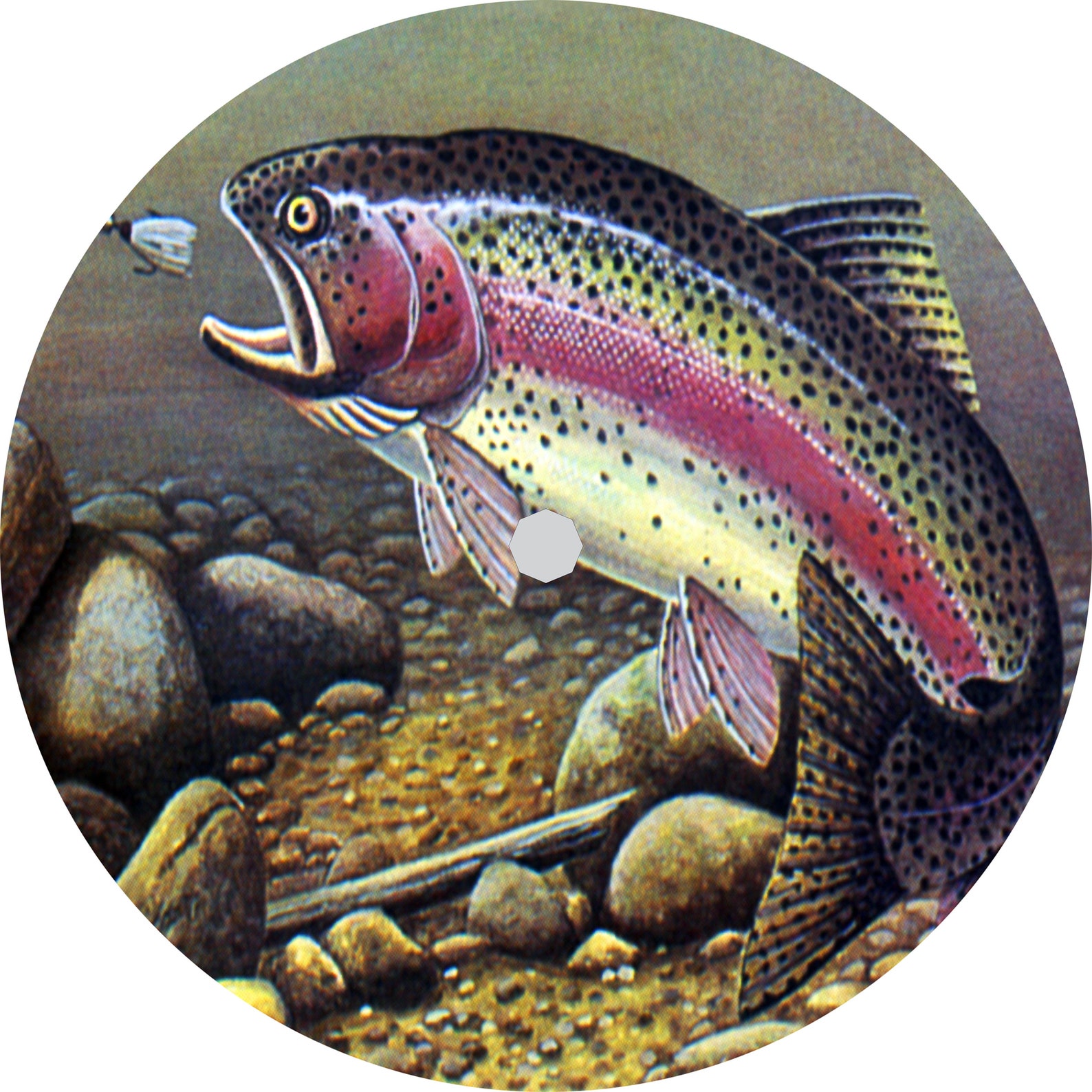Incredible Trout Jaws: Nature'S Perfect Hunting Tool - 17xmjcc