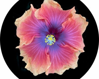Hibiscus Flower Spare Tire Cover, Heavy Duty Protector
