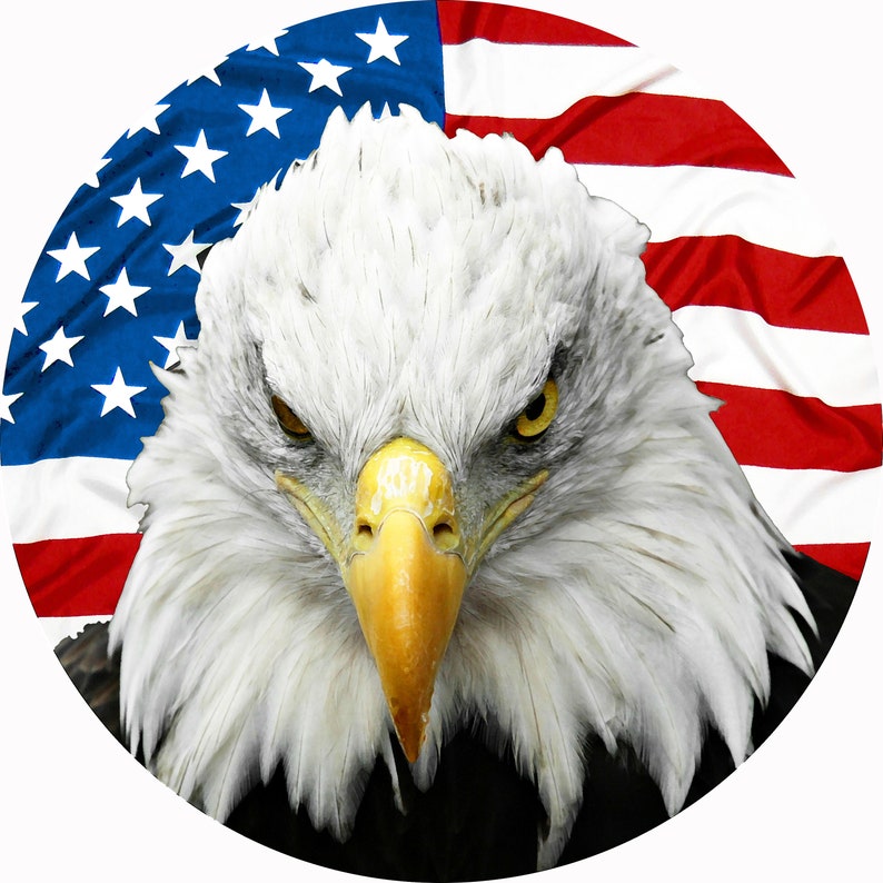 May include: A close-up of a bald eagle with a fierce expression, its head and neck covered in white feathers. The eagle is positioned in front of a red, white, and blue American flag.