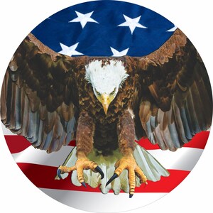 May include: A bald eagle with its wings spread wide, perched in front of an American flag. The eagle's talons are extended, and its head is turned to the side. The flag is red, white, and blue, with stars on the blue field.