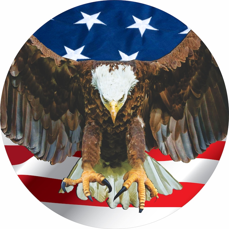 May include: A bald eagle with its wings spread wide, perched in front of an American flag. The eagle's talons are extended, and its head is turned to the side. The flag is red, white, and blue, with stars on the blue field.