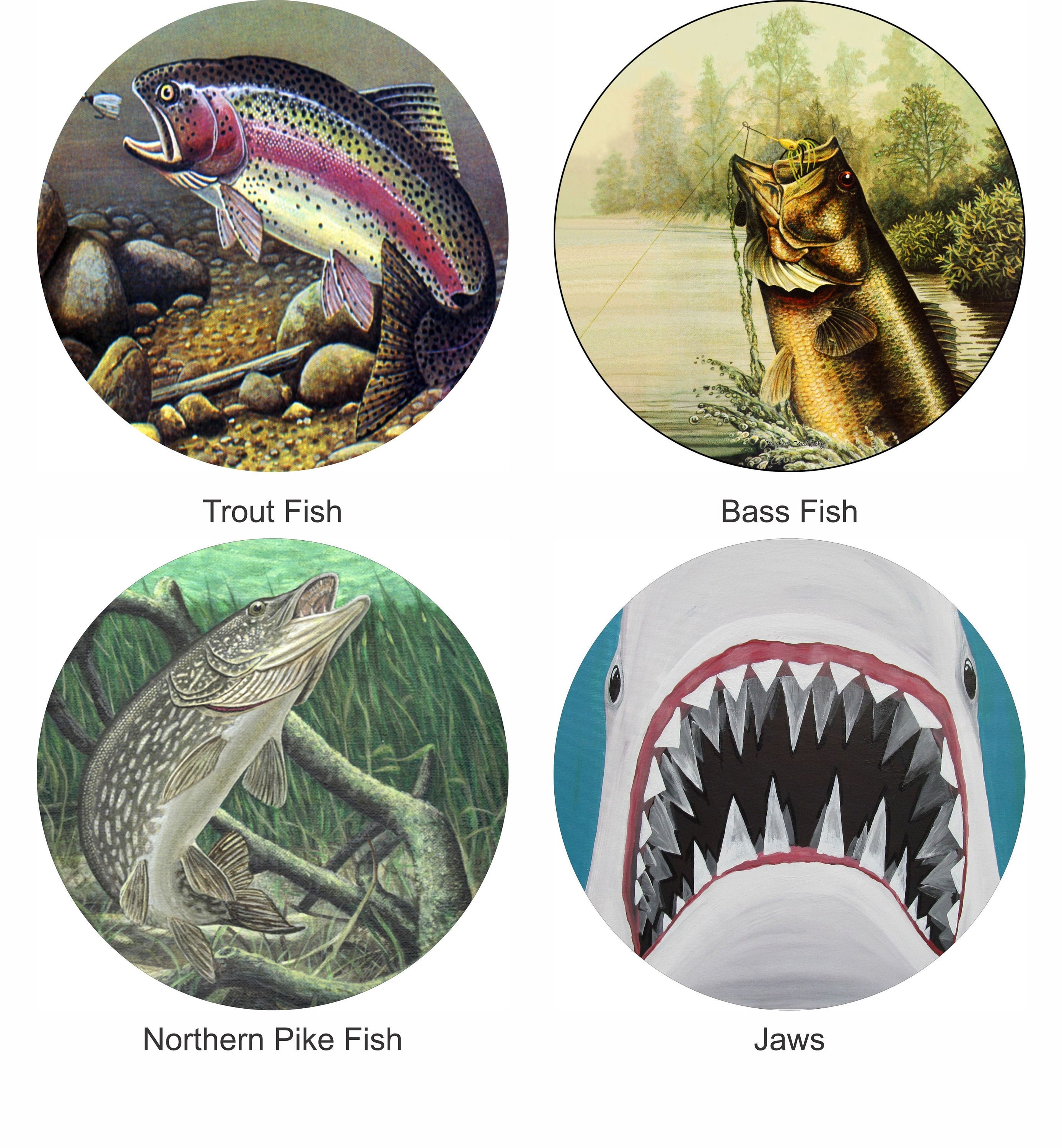 Incredible Trout Jaws: Nature'S Perfect Hunting Tool - zqhnacm