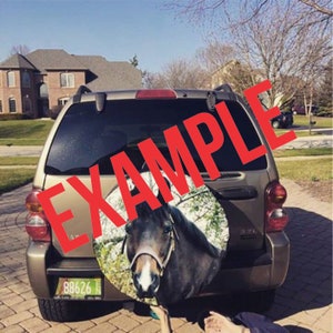 May include: A brown SUV with a spare tire cover featuring a horse's head. The spare tire cover is a brown and white photo of a horse's head with a green background. The license plate reads "88626".