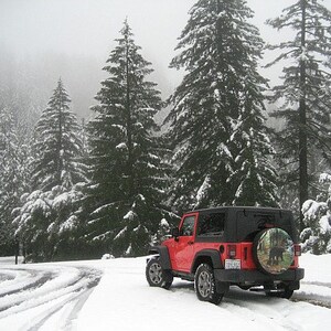 May include: A red Jeep Wrangler driving on a snowy road through a forest of snow-covered pine trees. The spare tire has a black bear design.