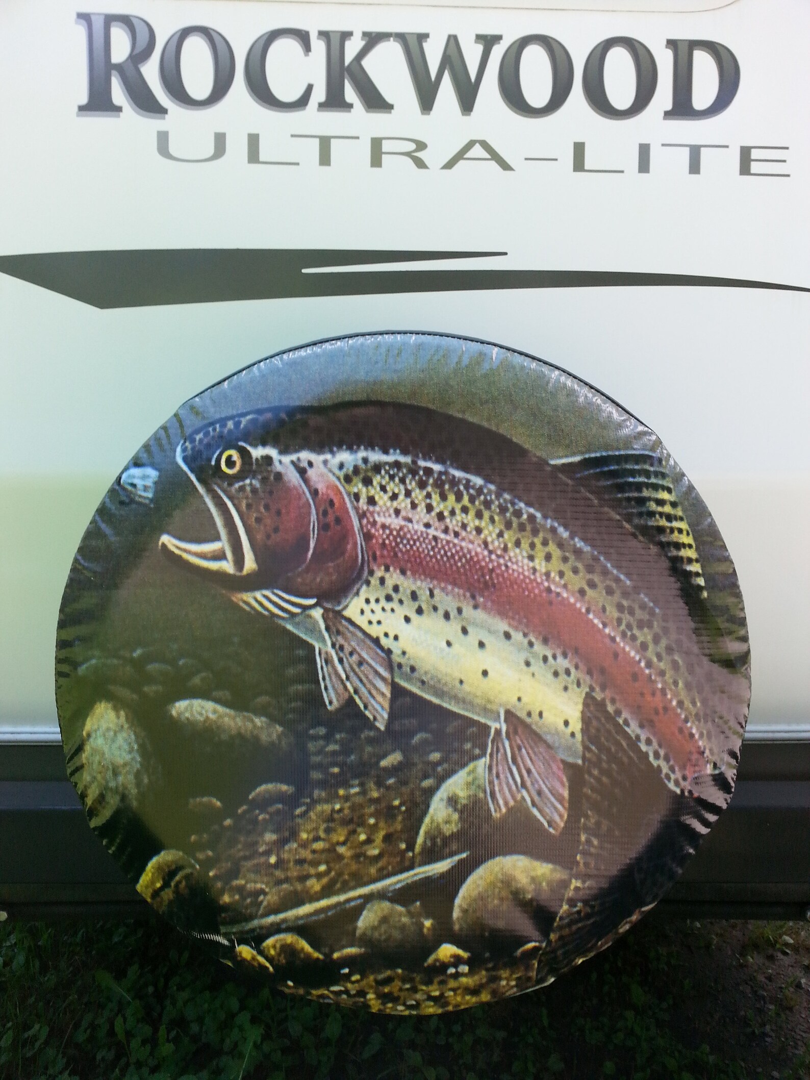 Incredible Trout Jaws: Nature'S Perfect Hunting Tool - 1zi5swo