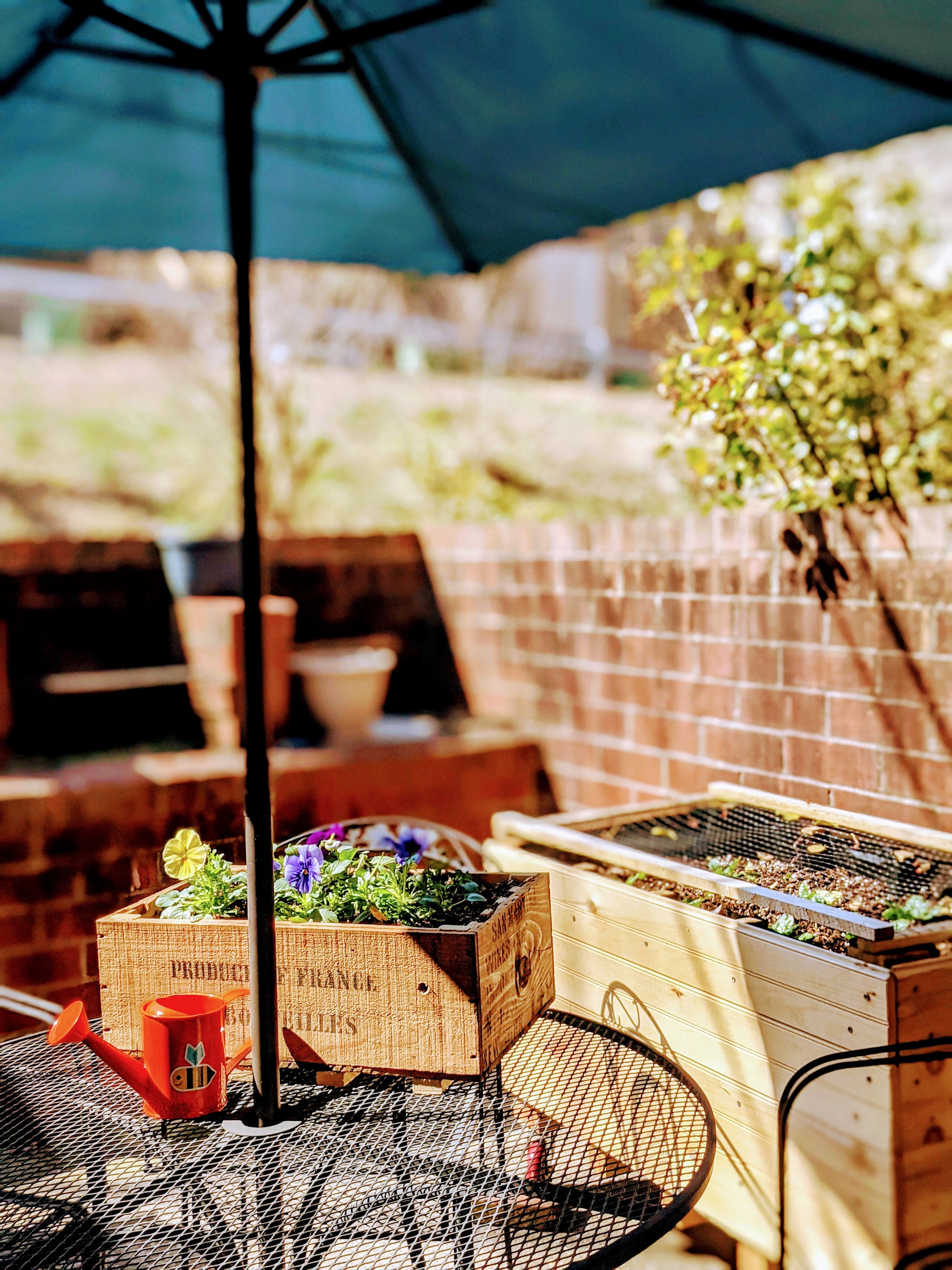 Self Watering Wine Crate Planter Made From Imported Wine | Etsy