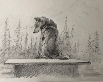 Original Sled dog on dog house pencil drawing - 8x12