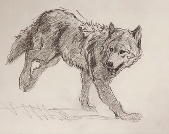 Pencil Sketch Wolf Etsy