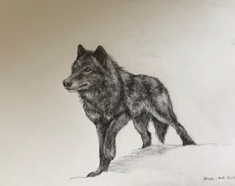 Original drawing - Black Beauty - 8x12