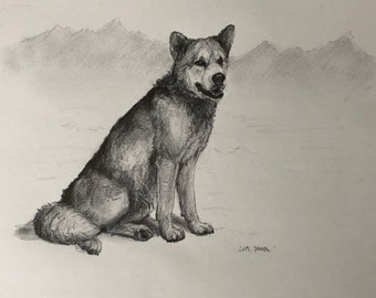 Alaska malamute original drawing - 9x12