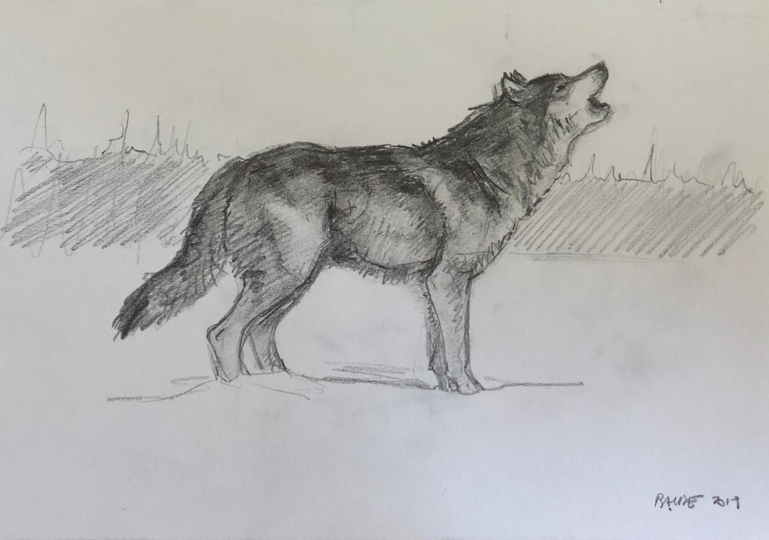 Howling Wolf Pencil シリースタイル Original Pencil Sketch Howling Wolf - 6.5x9.5 - Etsy