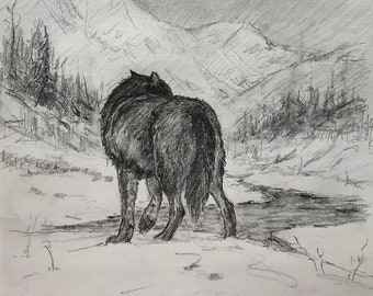 Original Drawing - Wolf in  wilderness - 9.5x11
