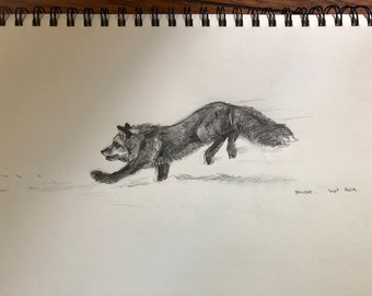 Leaping fox - pencil drawing - 6x12