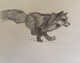Original fox Sketch - running - 6x12
