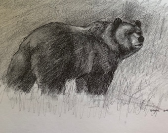 Original Bear in meadow pencil Drawing - 6x10