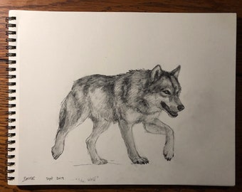 Original pencil drawing - "She Wolf" - 8x10
