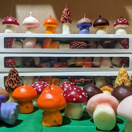 Mini Mushroom Candle Set