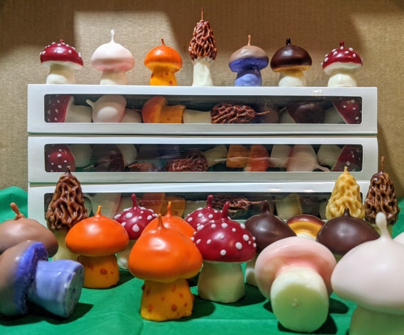 Mini Mushroom Candle Set