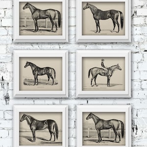Famous Vintage Racehorse Illustrations Set of 6 | Set of 6 - Vintage Horse Art Decor - Vintage Racehorse Digital Printable Art