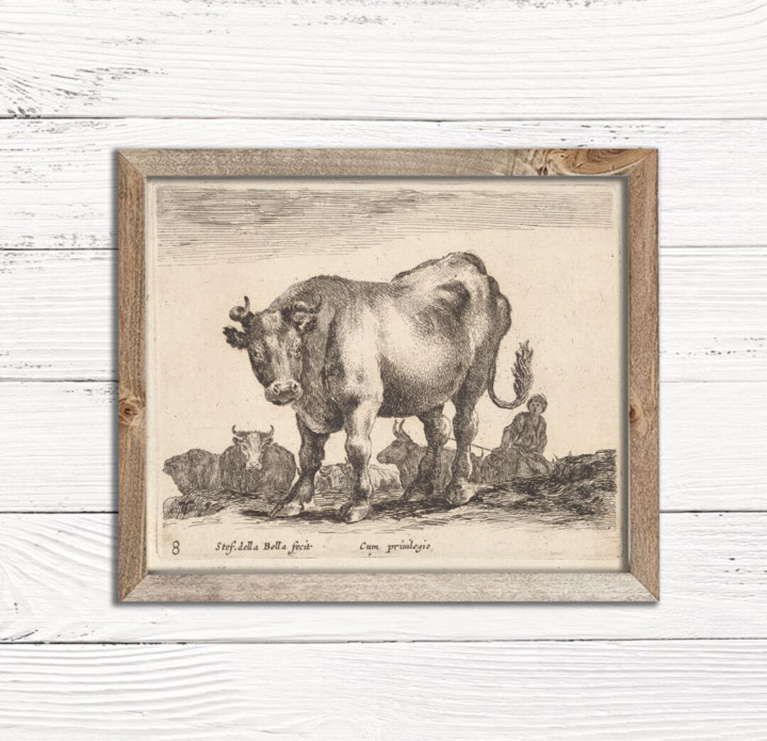 Vintage Sketch of Cow in Field | Singular Print - Vintage Cow Art Decor ...