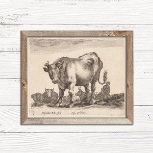 May include: A black and white vintage illustration of a cow and other cattle. The image is framed in a light brown wood frame. The text "Stef. della Bella. fecit. Cum privilegio." is at the bottom of the image.