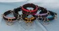 Skie Collar product logo