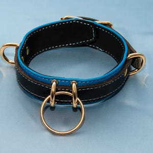 Skie collar (Blue)