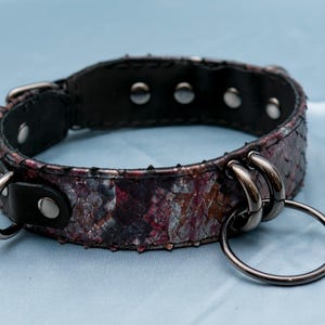 Skie collar (Dragon scales)