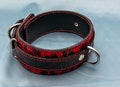 Leopard print Collar product logo