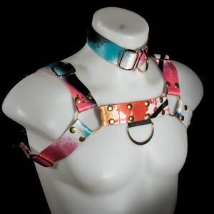 Abstract Gradient Harness Set + Collar | Multicolor Bulldog Harness with D-Rings, Festival & Pride Fashion