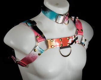 Abstract Gradient Harness Set + Collar | Multicolor Bulldog Harness with D-Rings, Festival & Pride Fashion