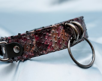 Dragon Scales Print Collar: Metal Ring, D Rings (19.6-14 inches)