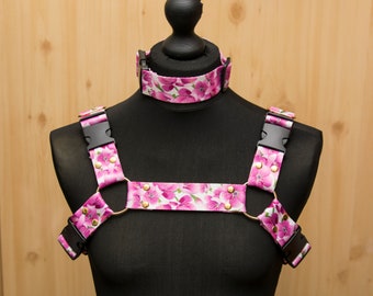 Bulldog Harness Set (Bloomfield)