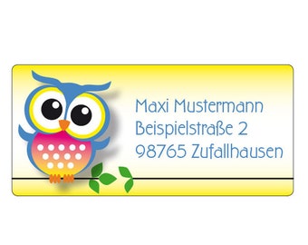 Sticker little owl, personalized, address sticker owl, sticker owl with address, name and class, personal, 48 pieces.