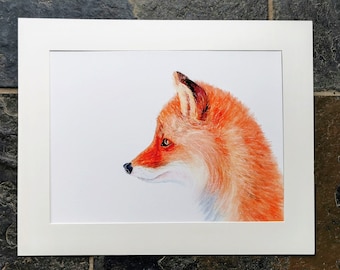 Watercolour fox A4 giclee print / countryside wildlife / Foxy Loxy / hedgerow art