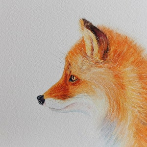 Original watercolour fox / countryside wildlife / Foxy Loxy / hedgerow art