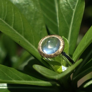 Moonstone ring, fine. silver 925, gold 999, image 1